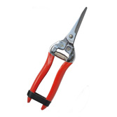Garden Tools & Accessories